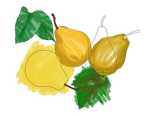 Image showing Pears and Leaves