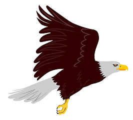 Image showing Bald Eagle Flying