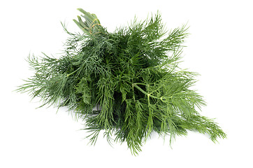 Image showing Dill