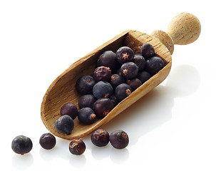 Image showing wooden scoop with dried juniper berries