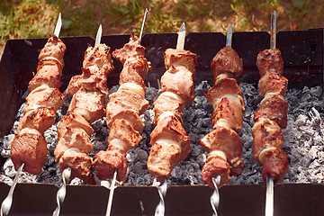 Image showing Shish kebab on the metal skewers