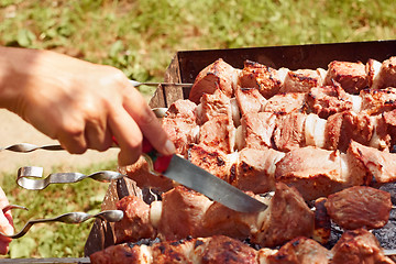 Image showing Meat slices on the metal skewers close up