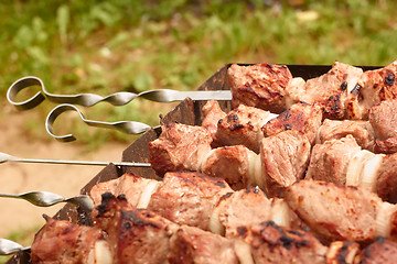 Image showing Shish kebab outdoor close up