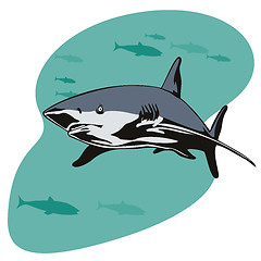 Image showing Shark Swimming Front View