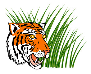 Image showing Tiger Head