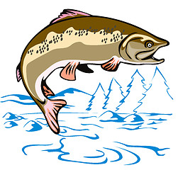 Image showing Trout Fish Jumping