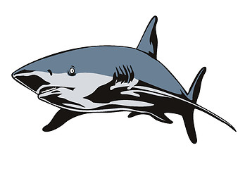 Image showing Shark Swimming Front View