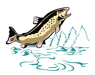 Image showing Trout Fish Leaping