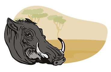 Image showing Warthog Head