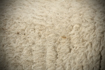 Image showing white sheep fur with vignette