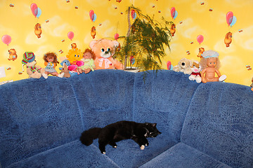 Image showing Black cat on sofa in the children's room