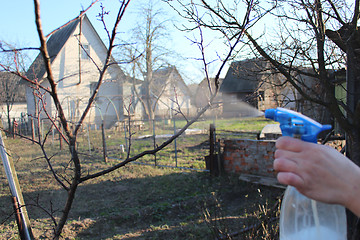 Image showing processing of trees in the garden in spring