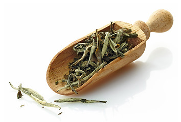 Image showing wooden scoop with green tea Pai Mu Tan