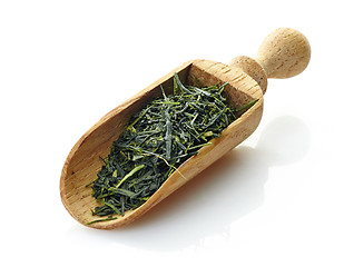 Image showing wooden scoop with green tea Yame Gyokuro