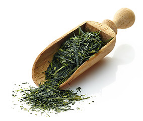 Image showing wooden scoop with green tea Yame Gyokuro