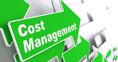 Image showing Cost Management. Business Concept.