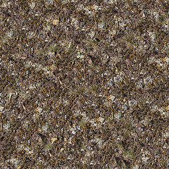 Image showing Seamless Texture of Rocky Soil.