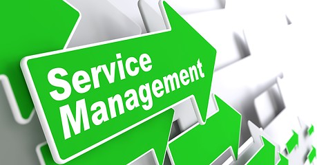 Image showing Service Management. Business Concept.