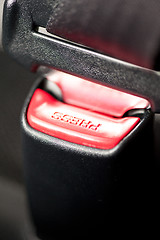 Image showing Seat belt