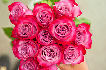 Image showing roses background