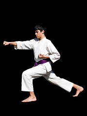 Image showing karate kid