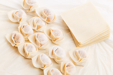 Image showing Homemade dumpling and raw material