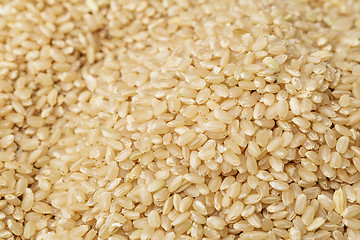 Image showing Brown rice