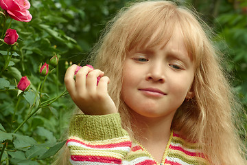 Image showing Little girl near the rose bush