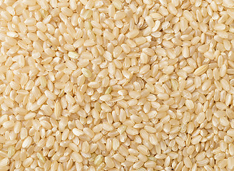 Image showing Uncooked brown rice