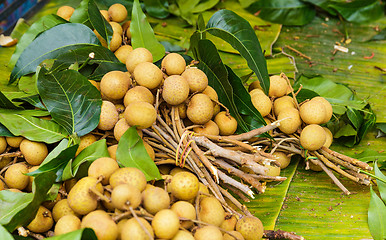 Image showing Longan in fruit market