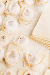 Image showing Homemade dumpling and raw material