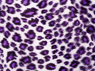 Image showing Leopard Printed in purple