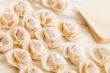 Image showing Homemade dumpling and raw material