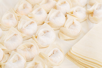 Image showing Homemade Chinese dumpling with raw material