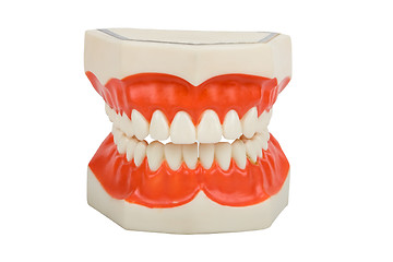 Image showing dentures, dental prosthesis