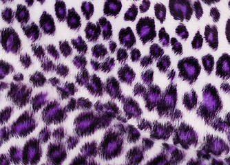 Image showing Leopard Printed in purple