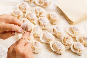 Image showing Making of Chinese dumpling
