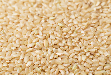 Image showing Brown rice background