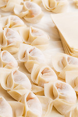 Image showing Homemade dumpling and raw material