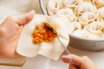 Image showing Making of the chinese dumpling