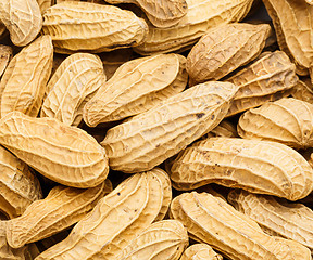 Image showing Peanut close up