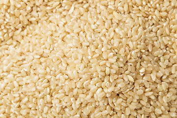 Image showing Brown rice