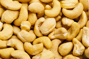 Image showing Fresh cashew nuts