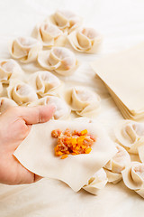 Image showing Making of the chinese dumpling