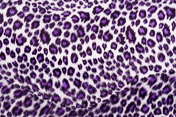 Image showing Leopard Printed in purple