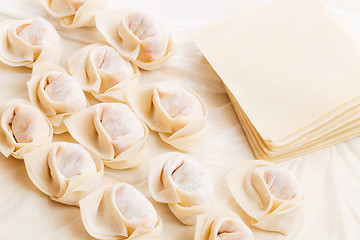 Image showing Homemade dumpling and raw material