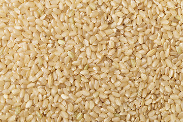 Image showing Brown rice