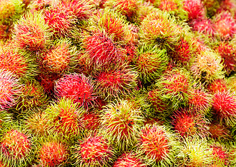 Image showing Rambutan fruit