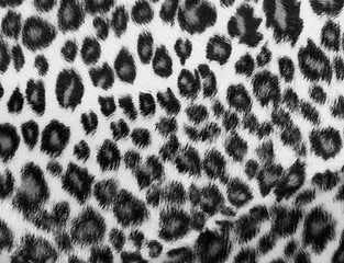 Image showing Monochrome leopard Print