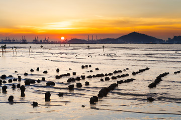 Image showing Sunset with sea